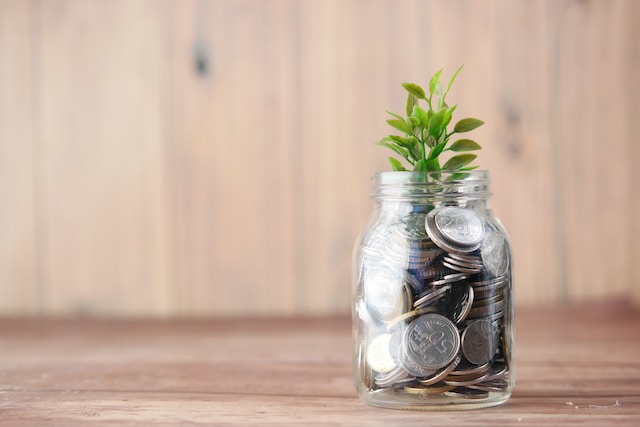 Investing Basics: Where to Start Growing Your Wealth